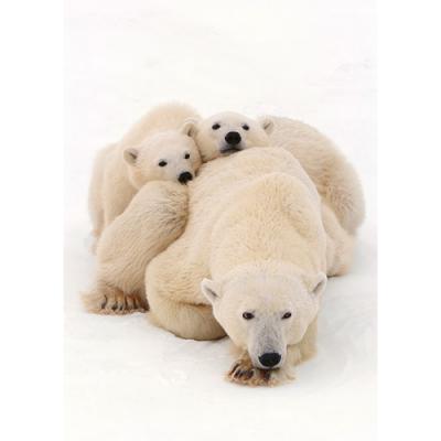 Together this Christmas - Personalised Christmas Cards